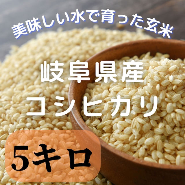 【送料無料】お米初出荷キャンペーンとして数量限定岐阜県七宗産コシヒカリ玄米(10キロ)