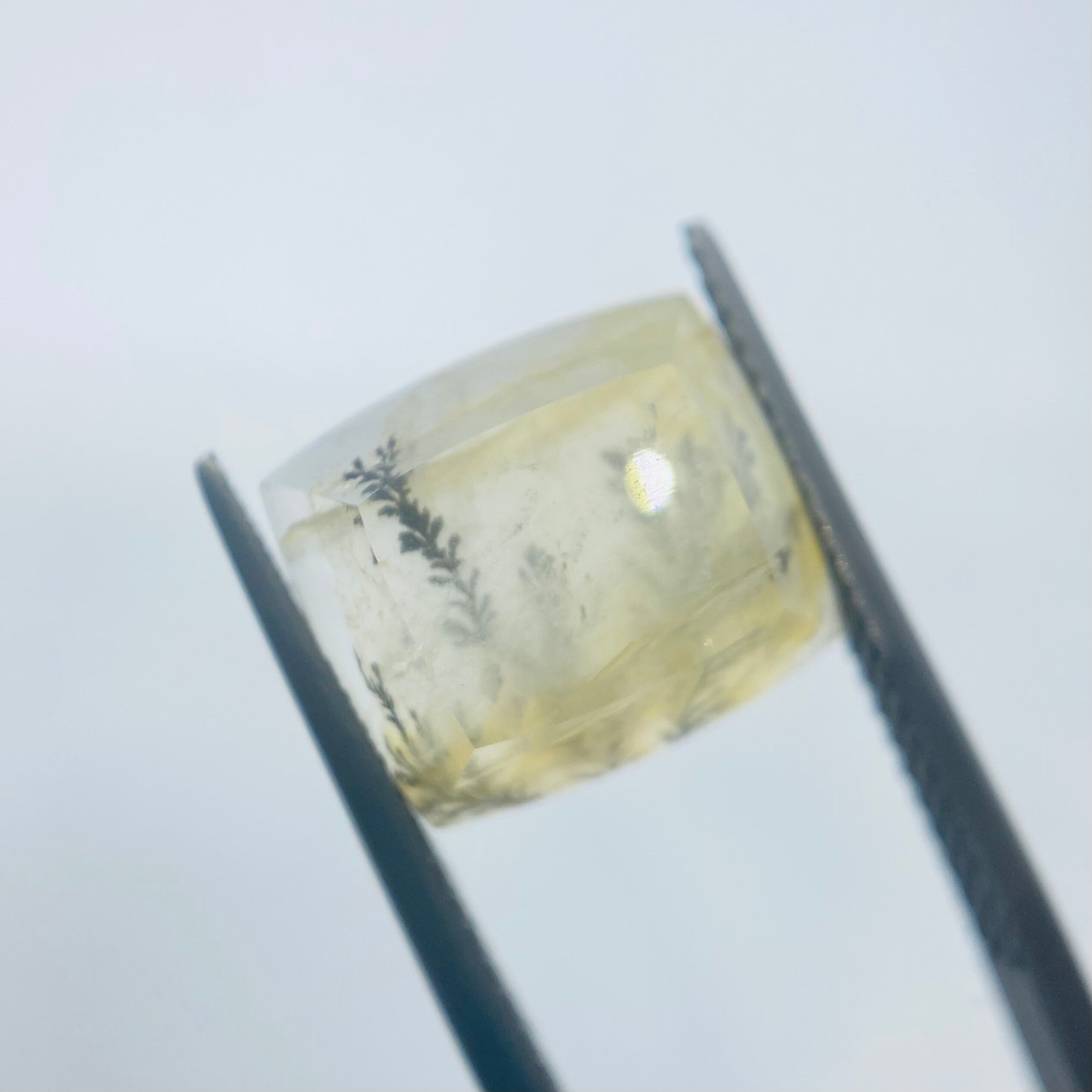 インスタライブでご紹介　デンドリティッククオーツ