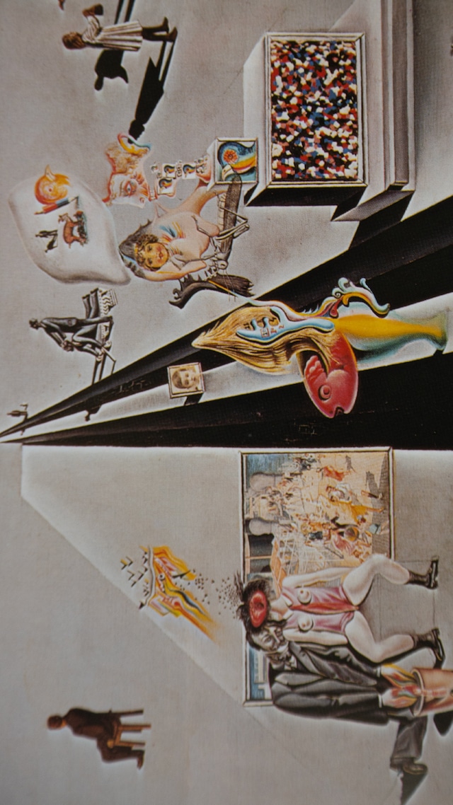 "Salvador Dalí" vintage Art book