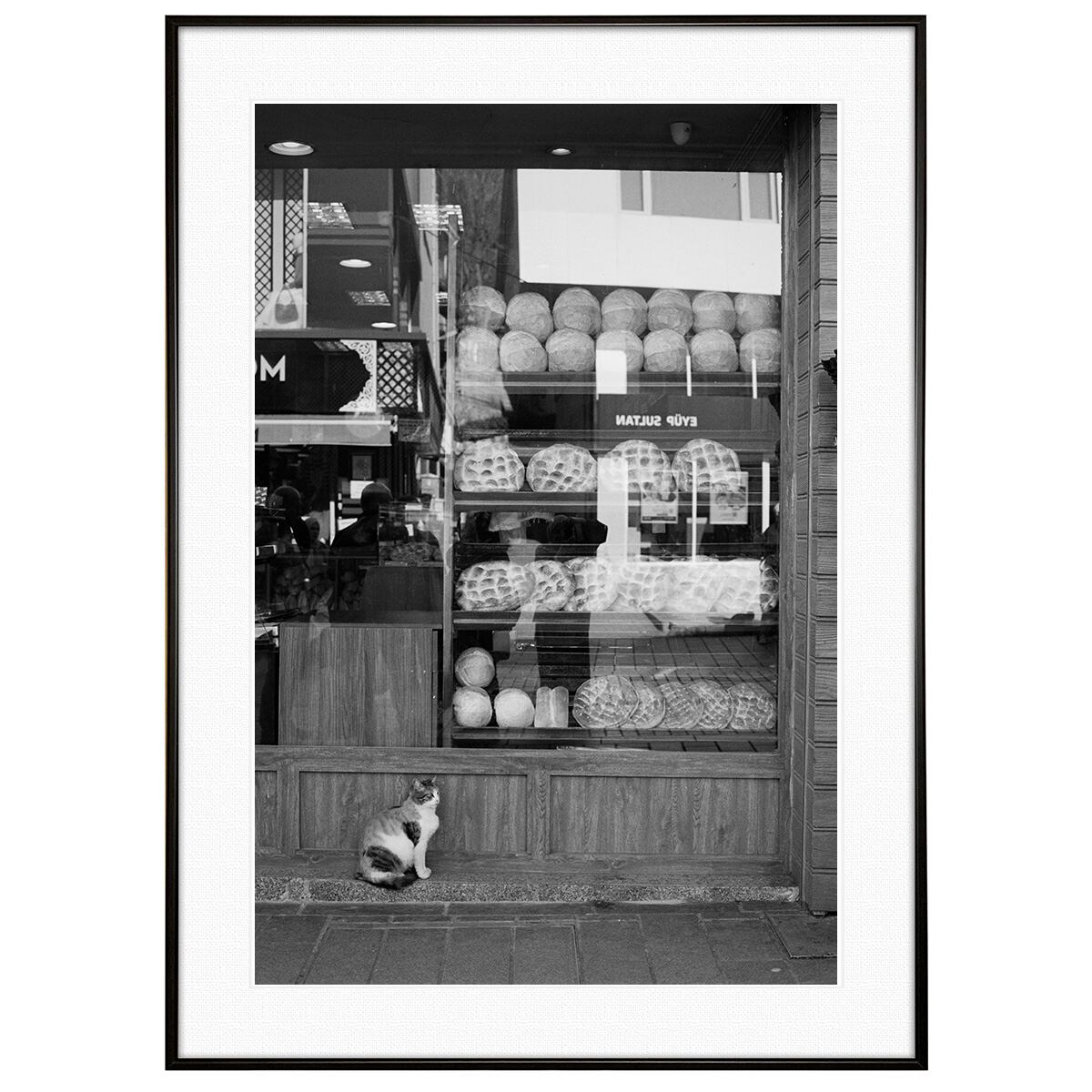 動物写真 街中の猫 インテリア モノクロアートポスター額装 AS4602