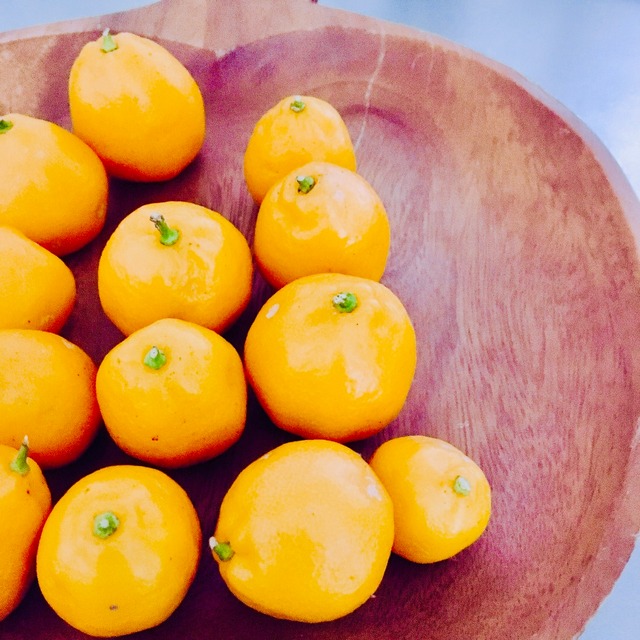 しずおか金柑の発酵ドライフルーツ ギフト お菓子 おやつ 発酵 発酵ドライフルーツnatufull なちゅふる