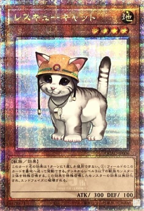 【Aランク】レスキューキャット(QCAC(25th)