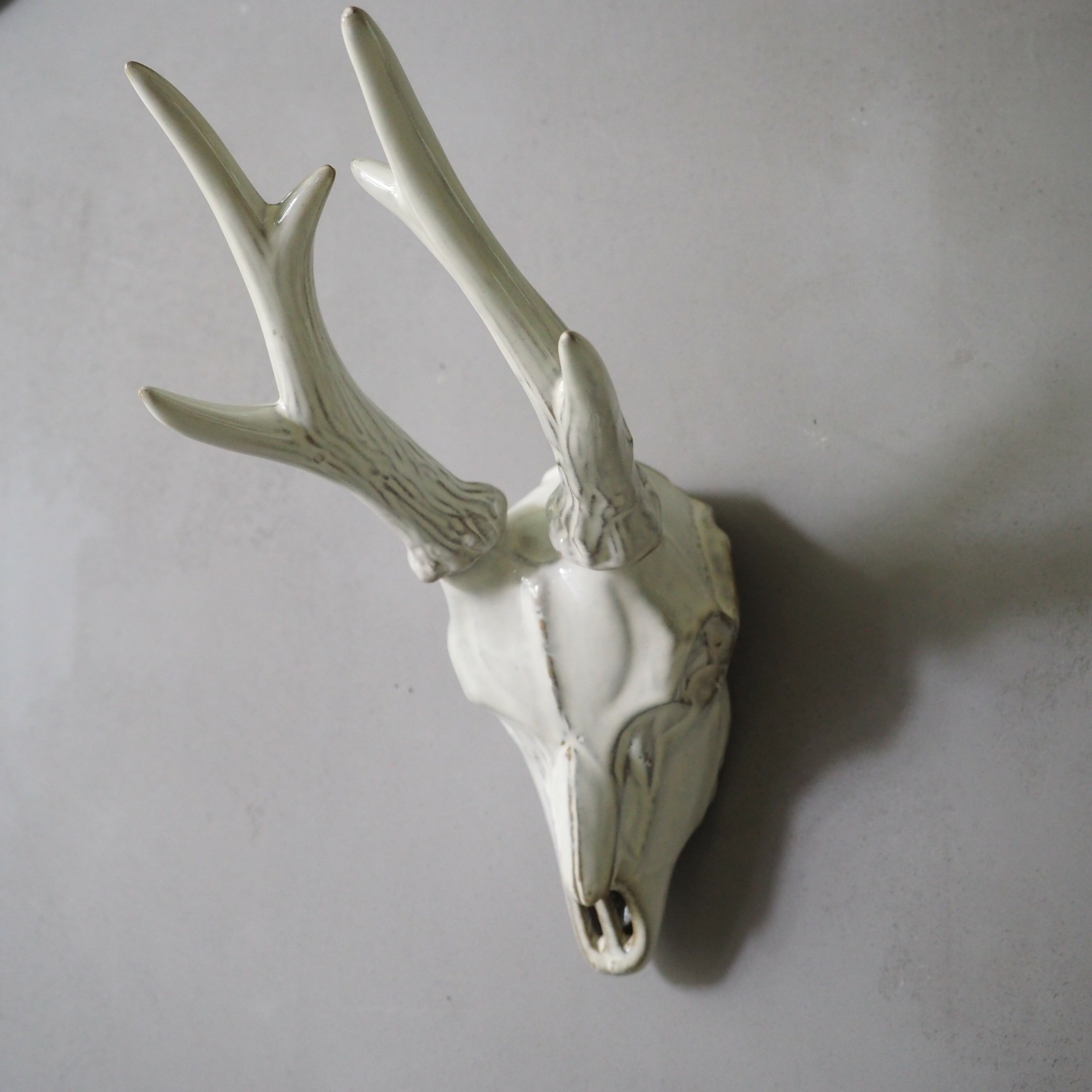 Deer Skull DS-001