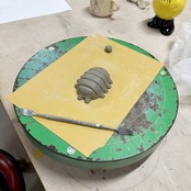 タンゴムシ