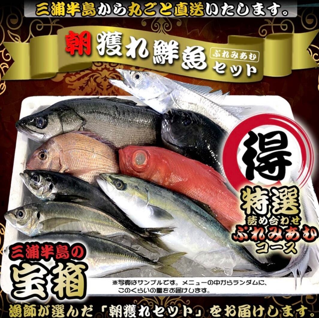 鮮魚セット 3枚おろし 7種類以上 詰め合わせ 『 三浦半島 産地直送 朝