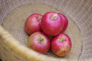 シナノスイート ３ｋｇ