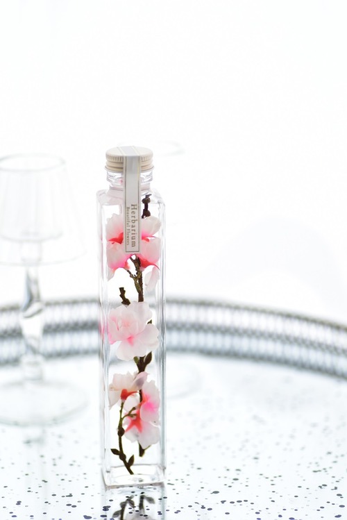 サクラのハーバリウム 角瓶 Ｌサイズ  ギフト用（化粧箱入ギフト包装）Herbarium SAKURA Flower Gift 外国人 受賞 合格 お祝い 手土産 プレゼント  Present