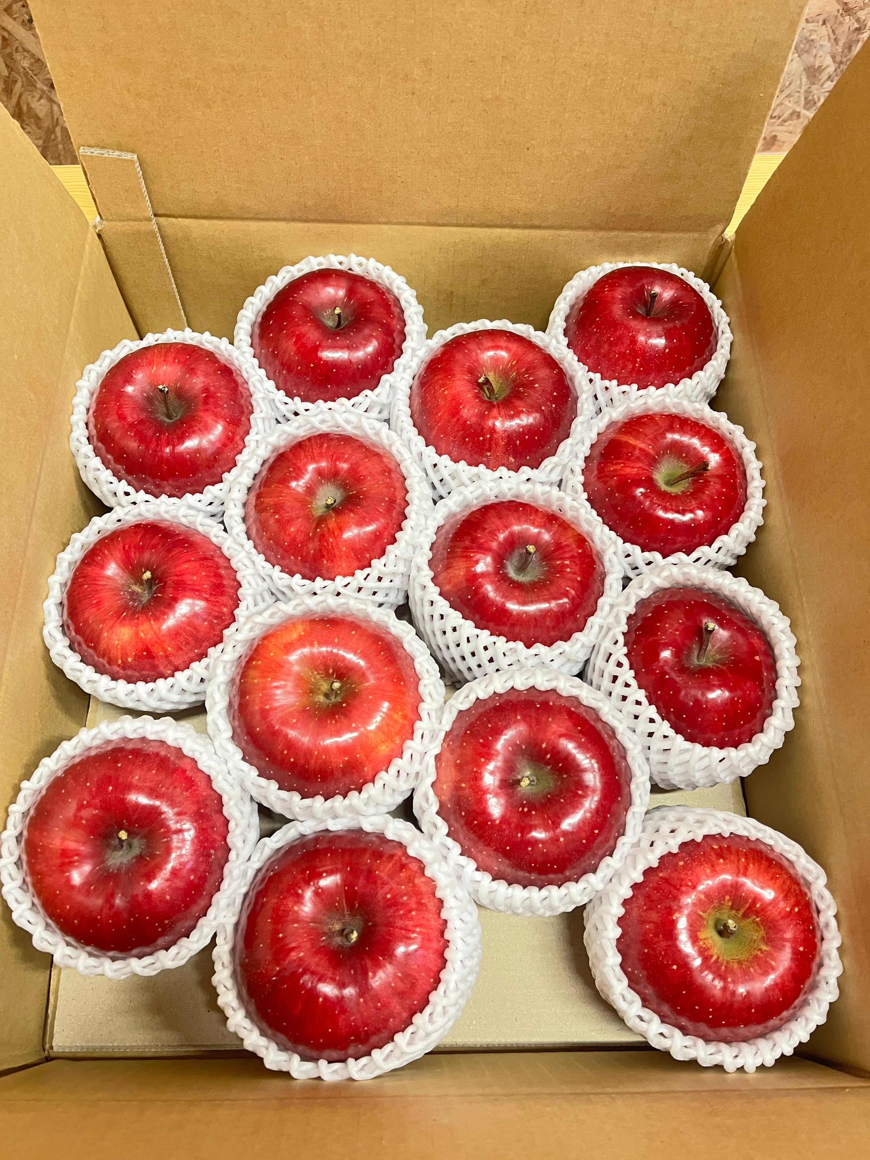 葉取らずコスモふじ贈答用　5㎏