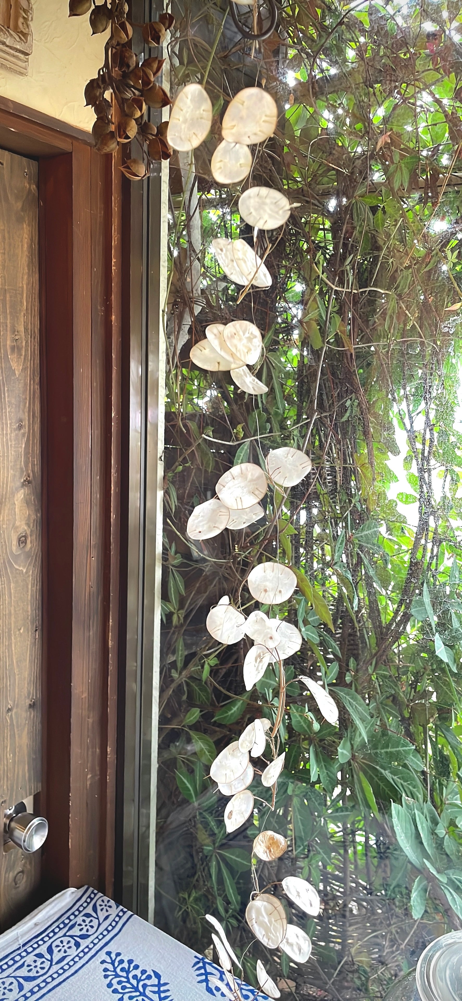 ルナリアのガーランド○ドライフラワー | alexandria33