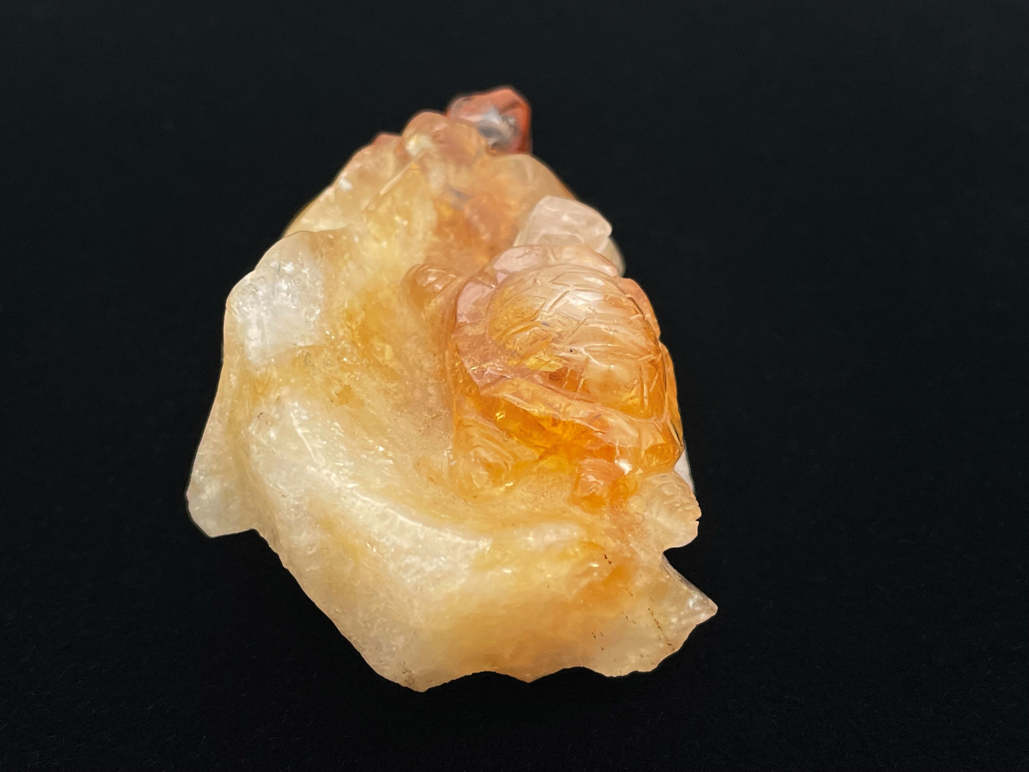 亀型（シトリン） 亀型（シトリン） | DantaliaN