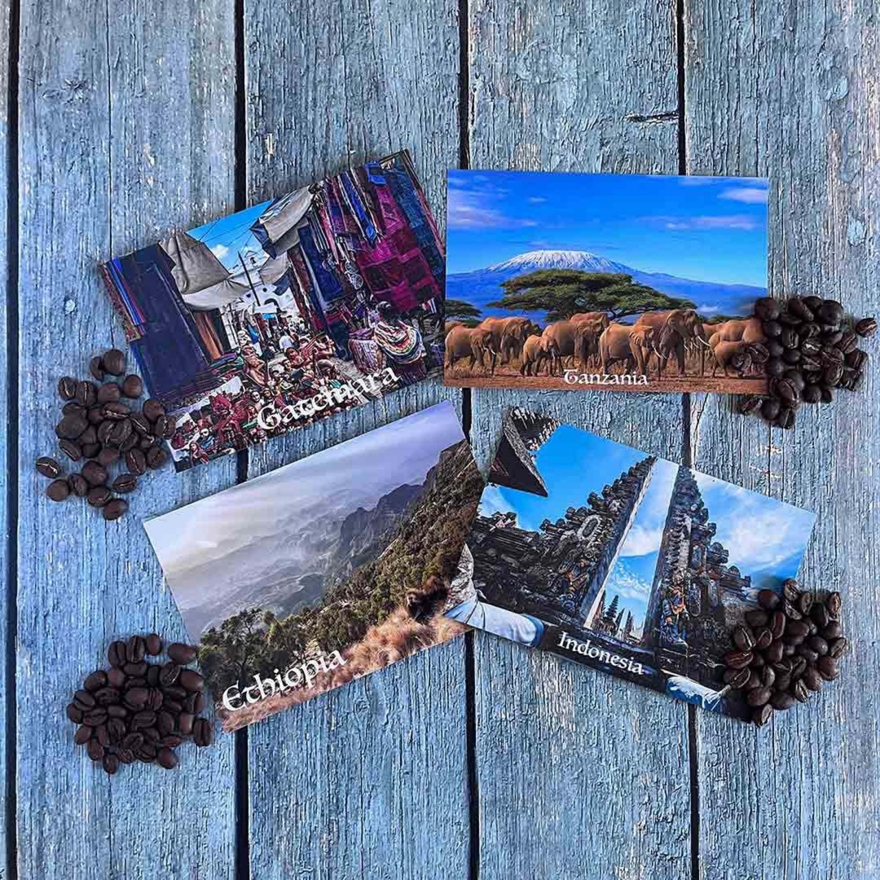 旅するコーヒーサブスク「Travel The World」(２ヶ月毎）