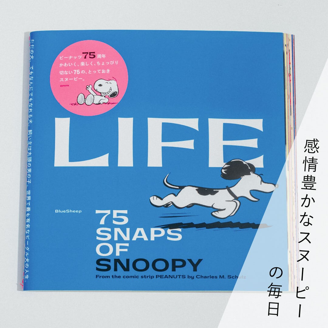 【保証書有】ピーナッツ リトグラフ Schulz氏 直筆サイン スヌーピー CHARLES SCHULZ SIGNED ORIGINAL FRAMED DRAWING OF SNOOPY DANCING~W