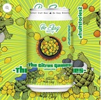 3ブルワリー限定トリプルコラボセット【fruitstories2 - the citrus games 】