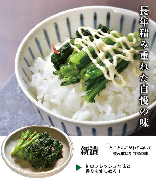 まもなく完売！【クール便（冷凍）でお届け】2025年・阿蘇青たかな新漬250g×5袋