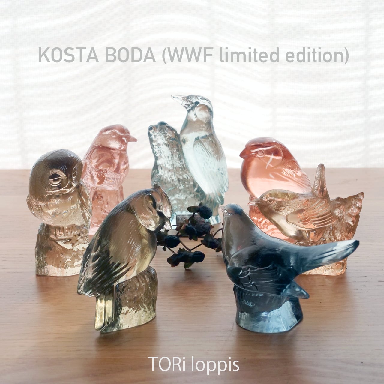 WWF Paul BODA KOSTA Edition Limited Hoff Glass Boda Kosta 0 Bird 