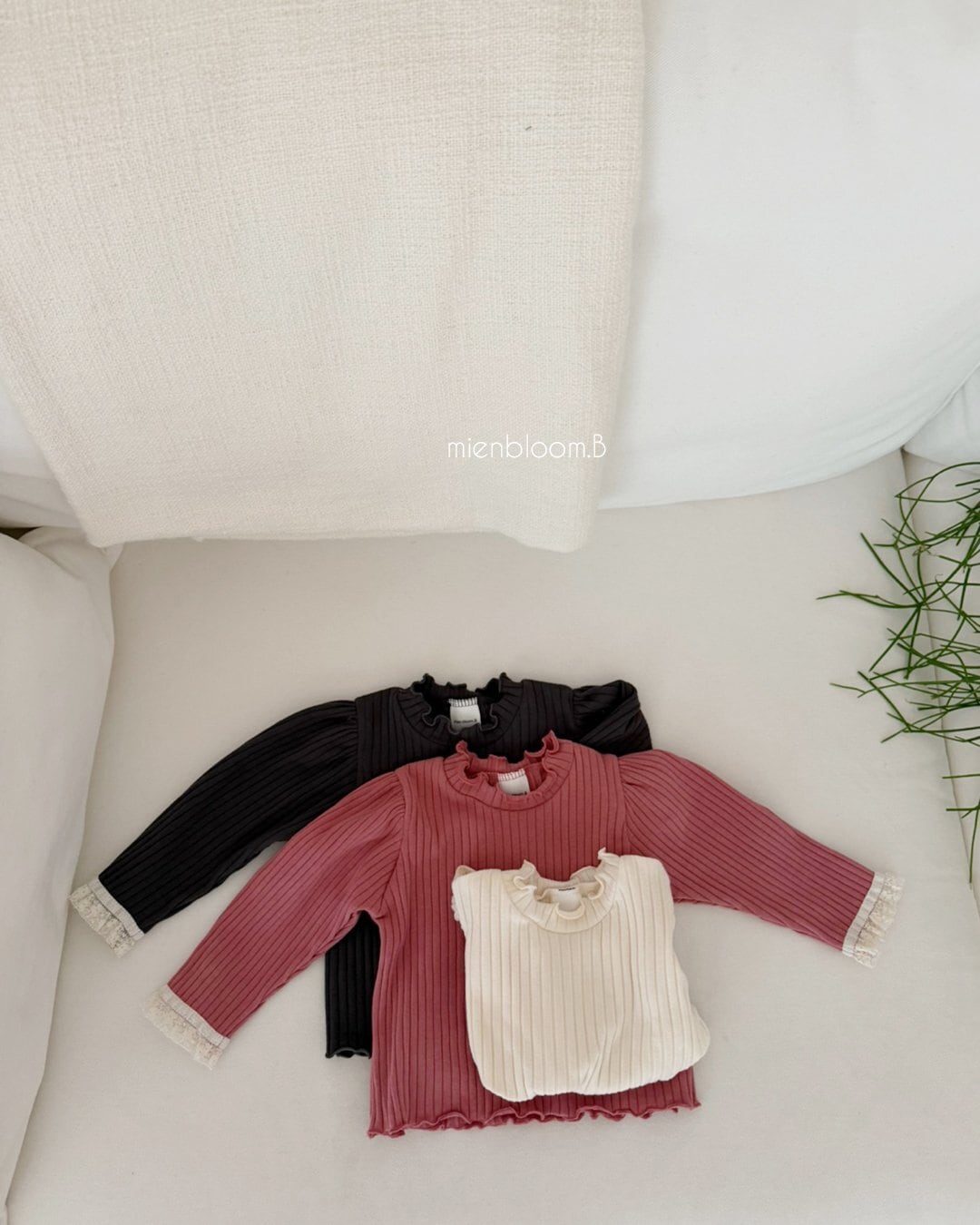 送料無料【予約】/ babyレースリブTシャツ / mienbloom