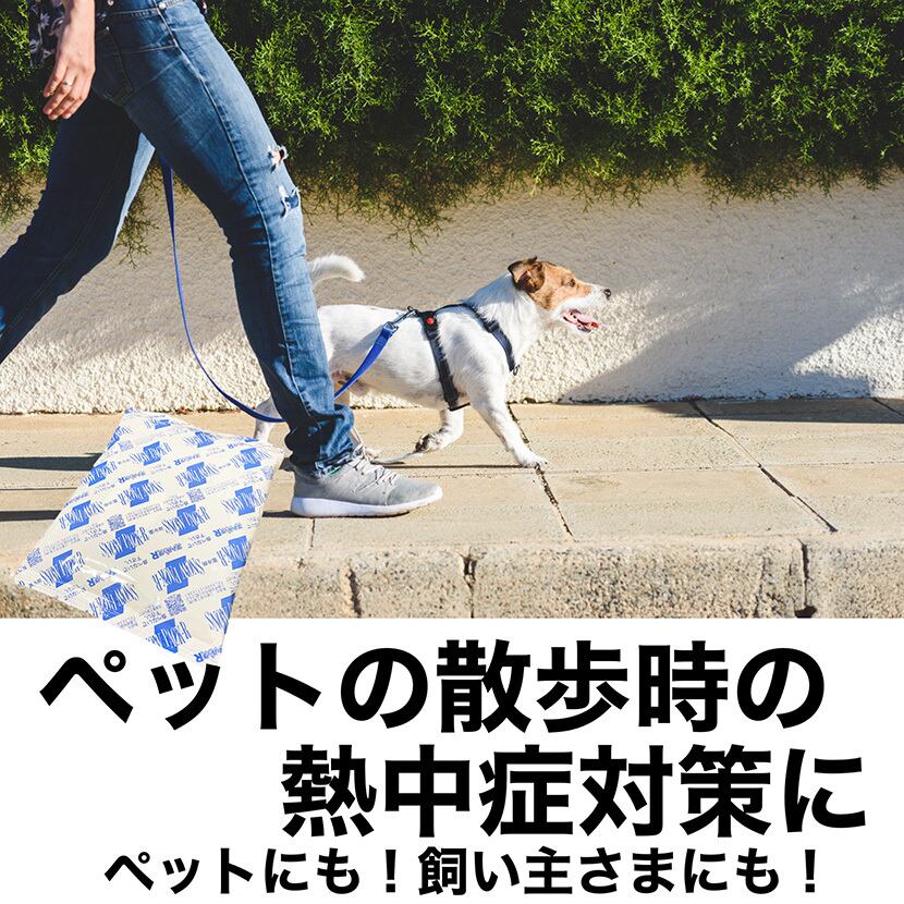 氷点下冷却剤  ソフトタイプ 400g×42個 業務用