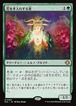 MTG《花を手入れする者/Bloom Tender(ECL)》日本語