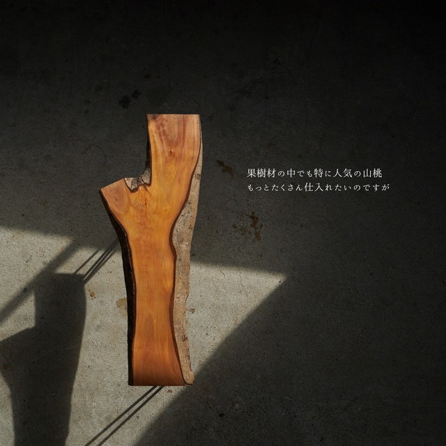 山桃のY字型 一枚板 ローテーブル（高さ・カラー変更無料）