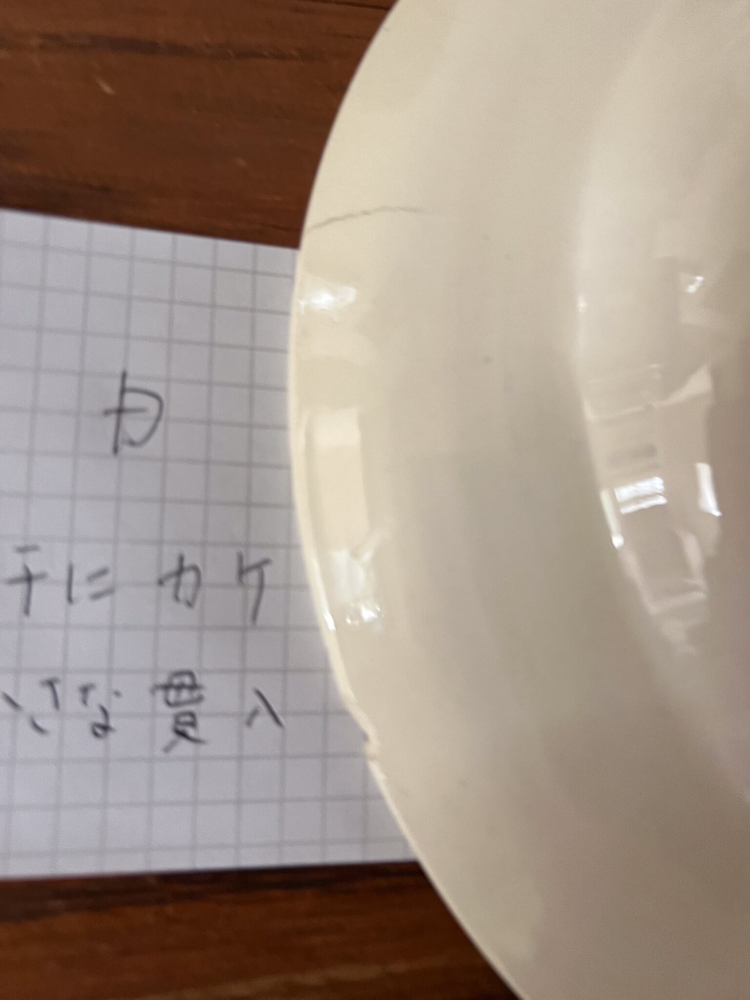 サルグミンヌ スープ皿 アンティークプレート D フランスアンティーク