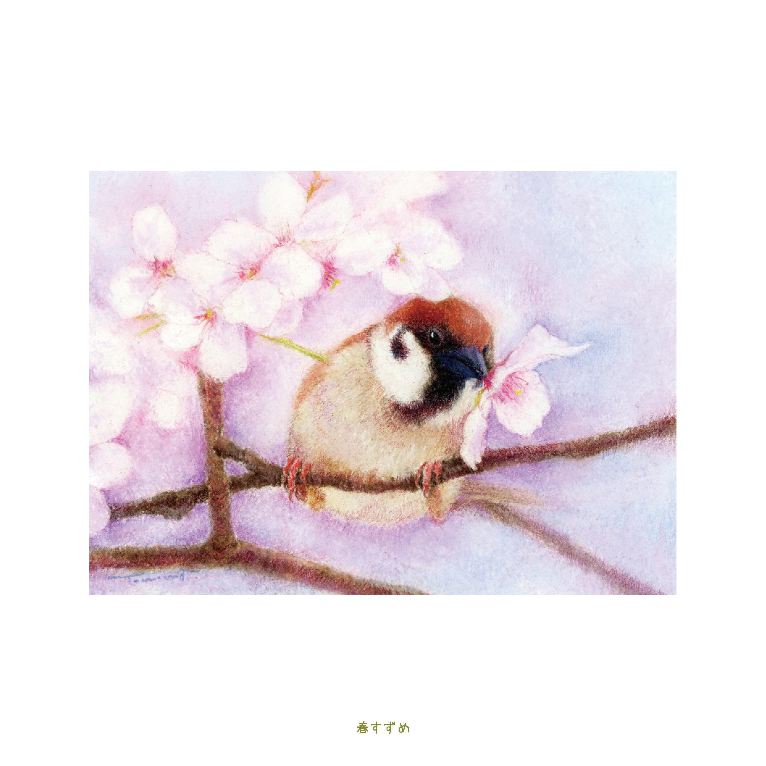 chun! 中村友美すずめ画集 ／ 中村友美 | Arquet