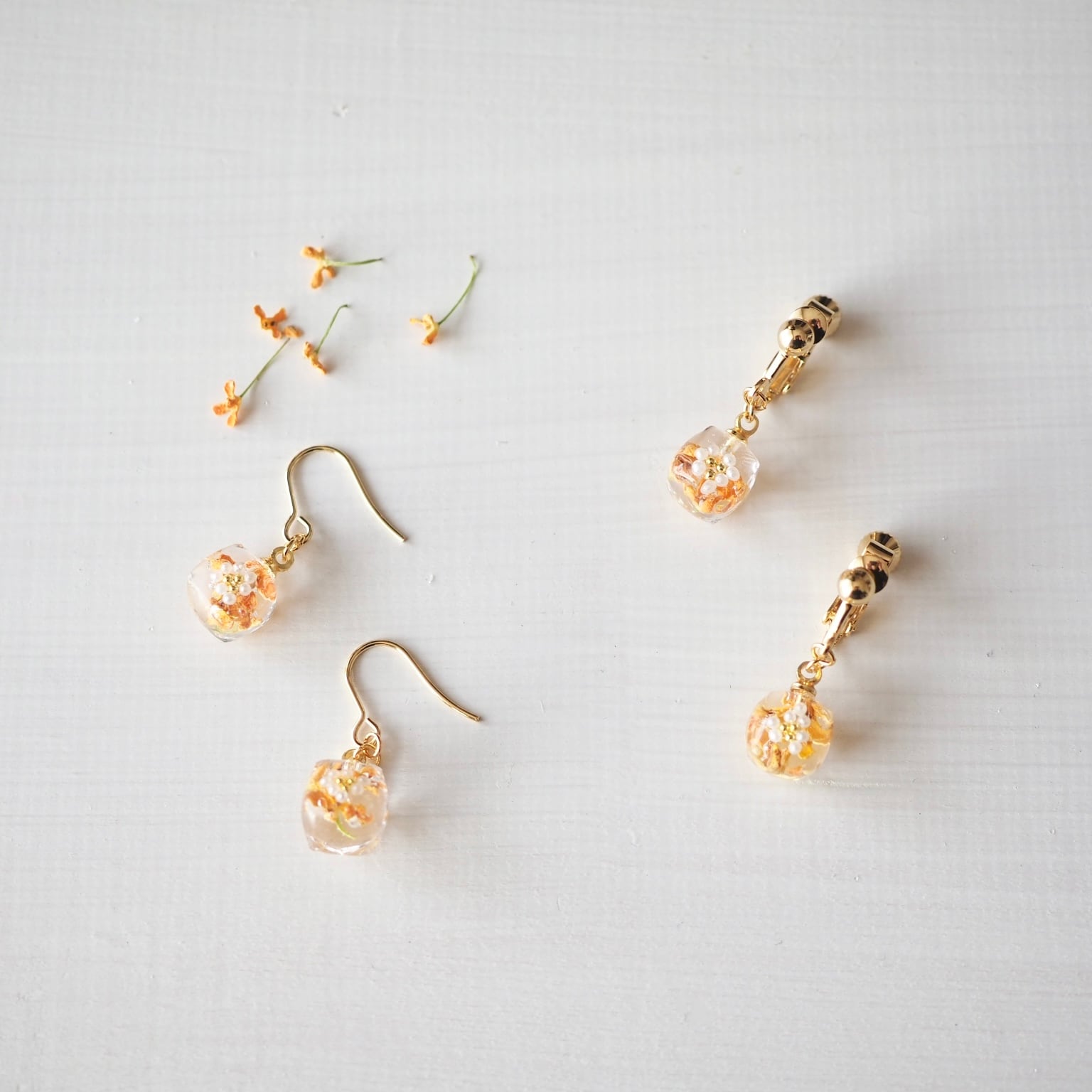 Plantscube Series | hakumokuren online shop