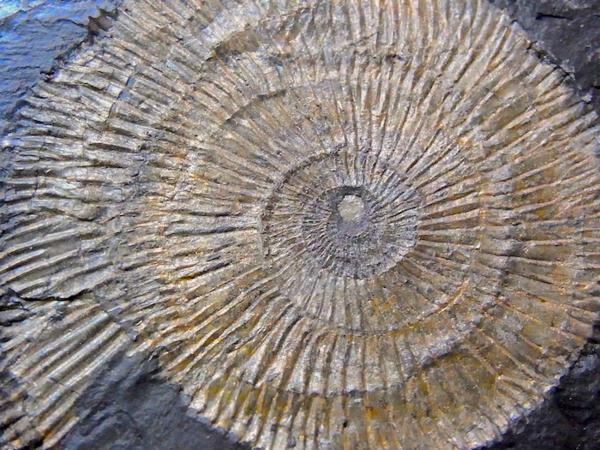 eb4f7ba9a920c4ffb3ff39183295ef