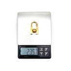 HERMES エルメス カデナ 知なる地球の美を求めて 2001 L´HOMME PEUT チャーム メタル 38.6cm 23.5g ゴールド