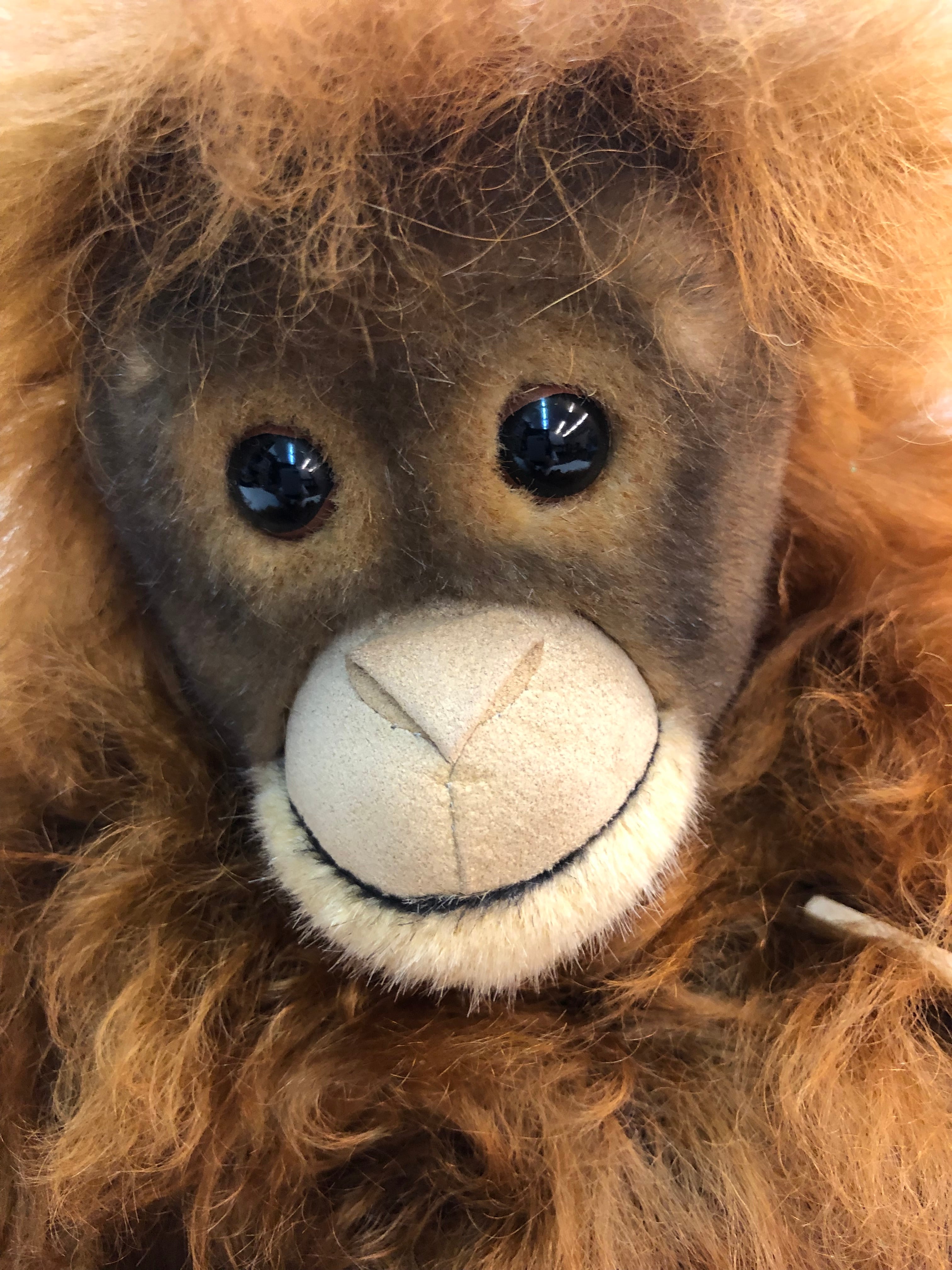 KOSENケーセン社 / オランウータン | wg-anne