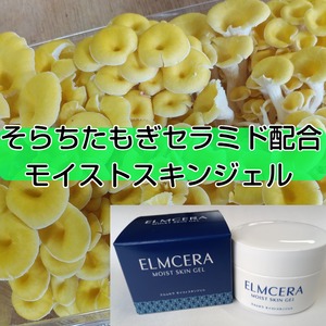 エルムセラ モイストスキンジェル(そらちたもぎセラミド配合)