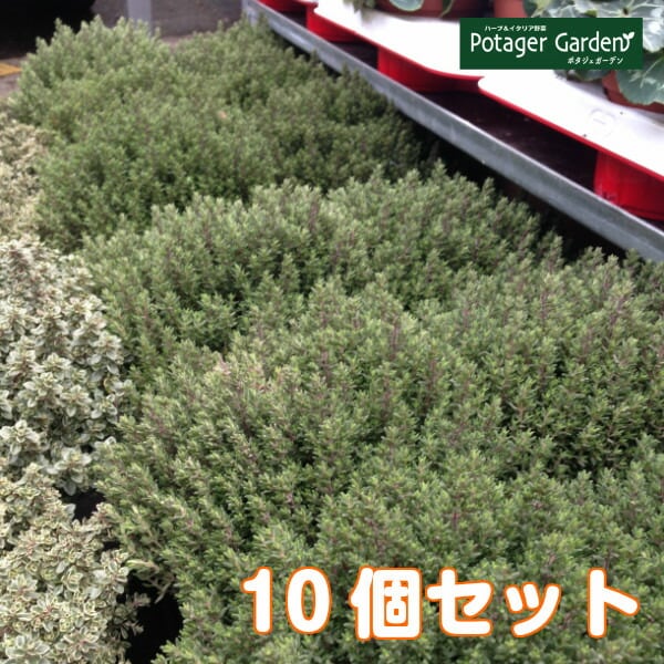 eb55f53c06134b795c1a7ef78f28a4