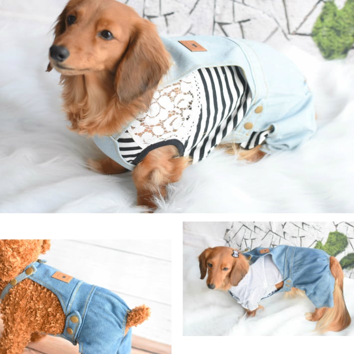 犬服パンダデニムサロペットワンピース見本