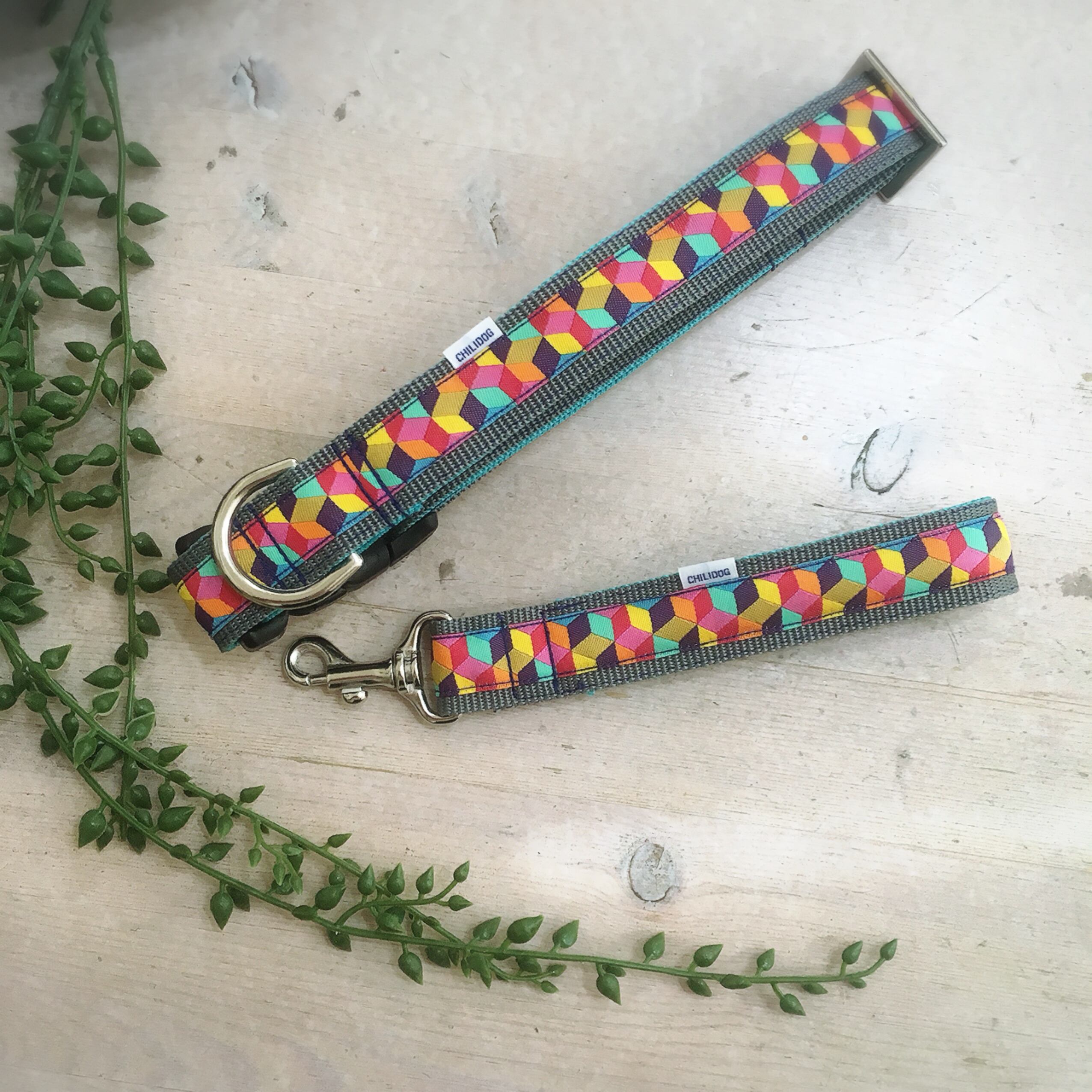 大型犬用首輪とショートリード Rr03 Chilidog