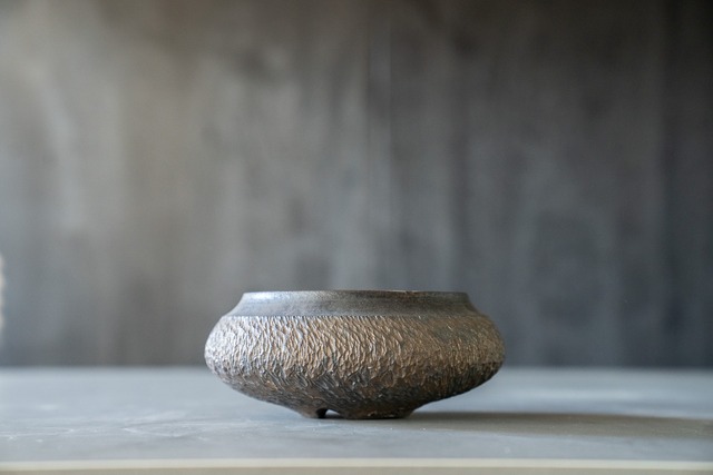 GOUJIN×BOTANIZE-5 | ENVY PLANTS 