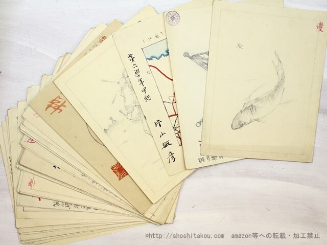 片山敏彦　高知市立第三尋常小学校在学中図画作品　40点　/　片山敏彦　　[35345]