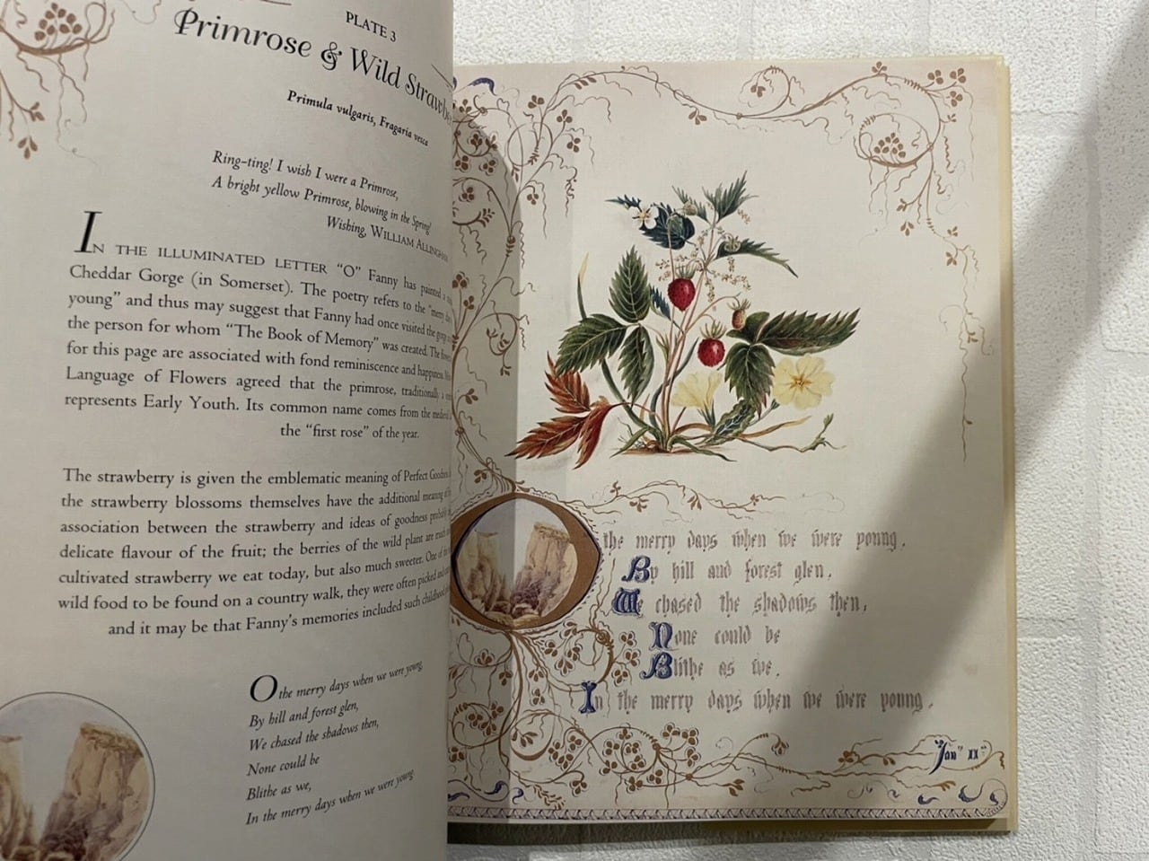 VW083】Country Flowers Of A Victorian Lady /visual book | KITAZAWA