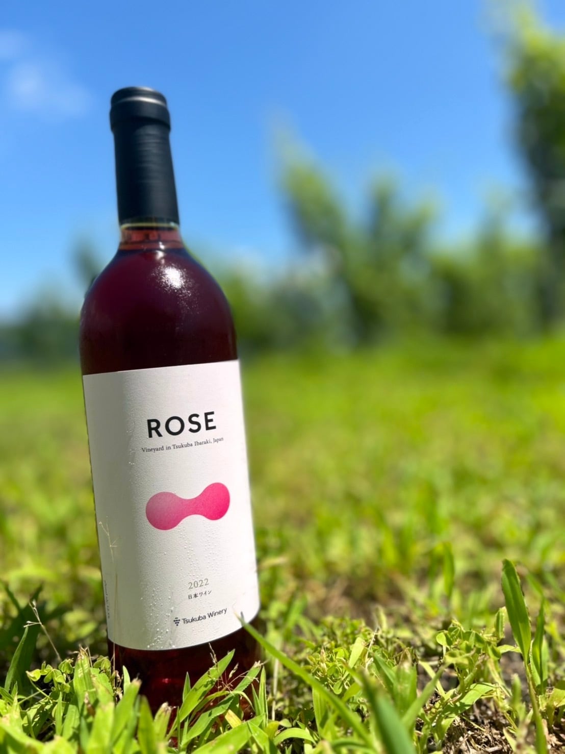 2022 ROSE（ロゼ） | つくばワイナリー
