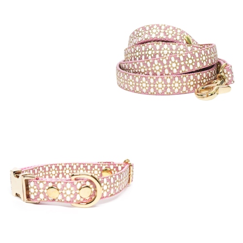 Collar&Leash set(Daisy)