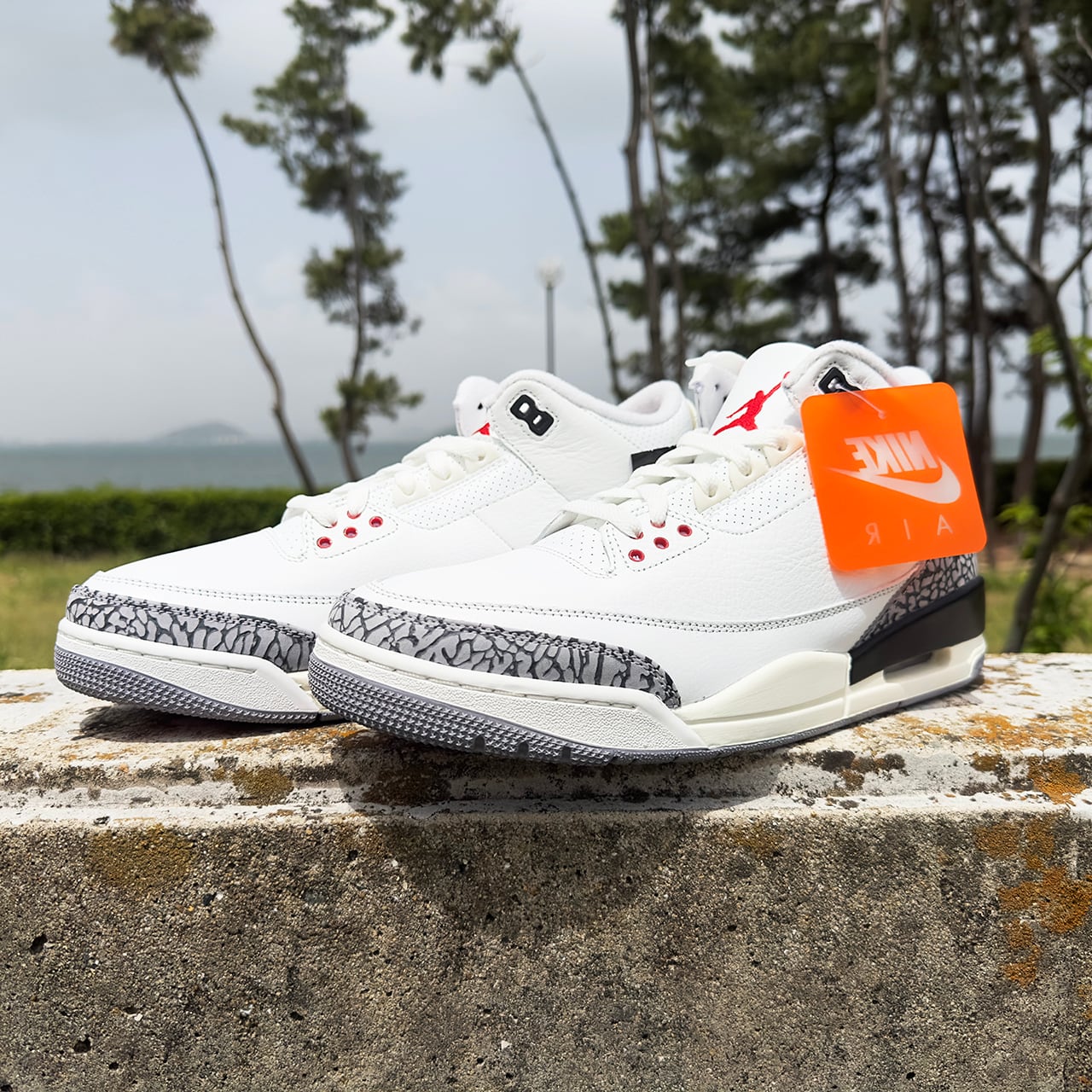 Nike Air Jordan 3 Retro 