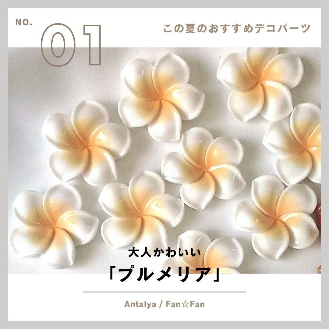 プルメリア デコパーツ =1個から購入可能商品です= | antalya