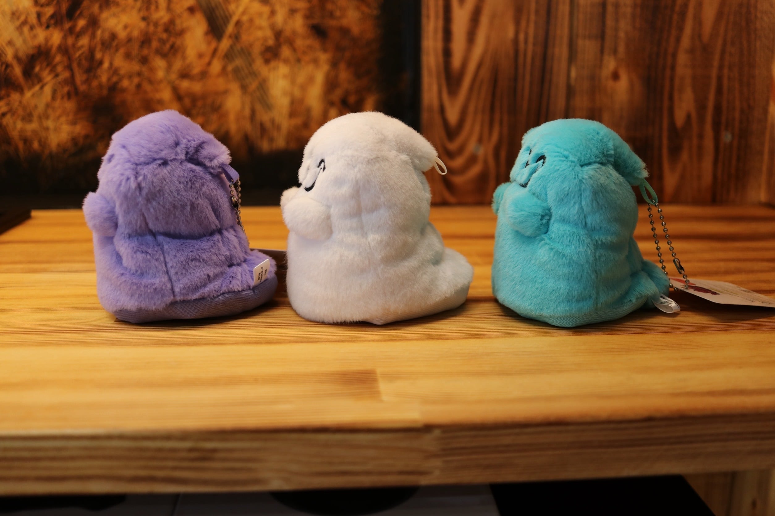 おばけのｼﾌﾄﾉﾌﾞｶﾊﾞｰ | GHOST EXPOD