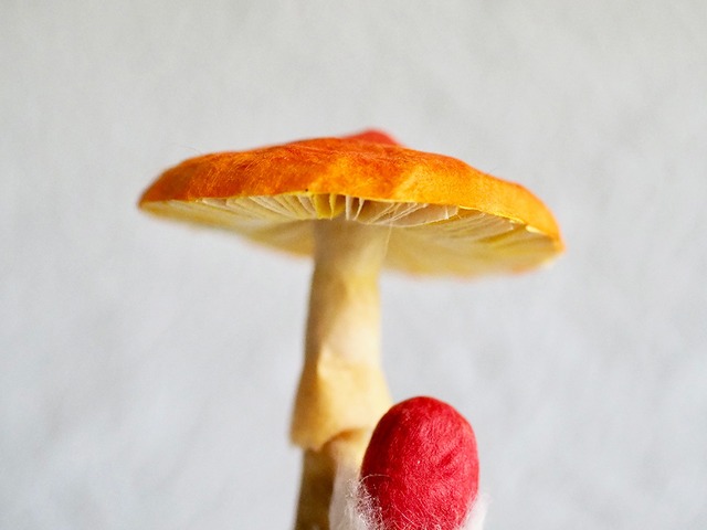 内藤瑠里　和紙のミニきのこ模型 ” タマゴタケ 02 "