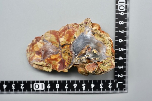コールドマウンテンサンダーエッグ Cold Mountain Thunderegg ②