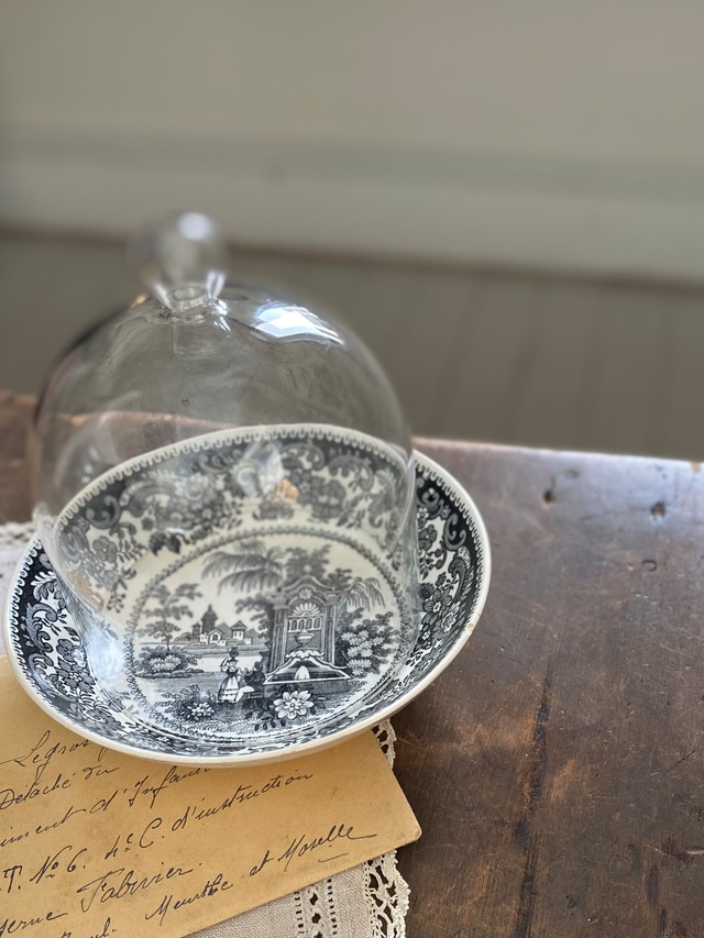 ガラスドーム & W. Smithプレート