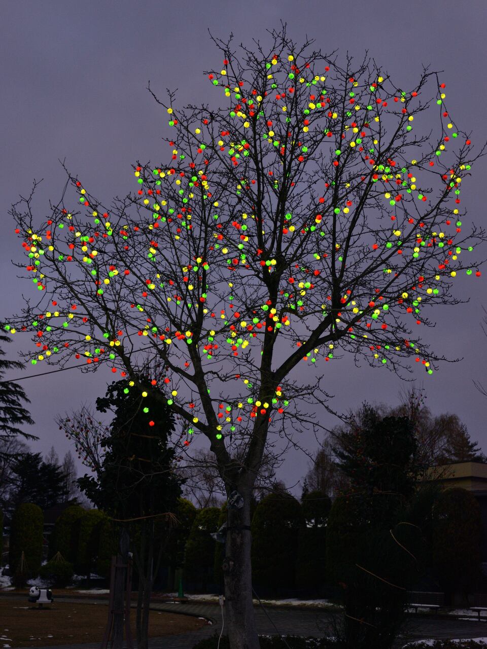 APPLE ILLUMINATION(アップルイルミネーション)コントローラ付 | 芳賀商店