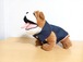 《小型犬》かわいい犬服　播州織デニム襟つきワンピース