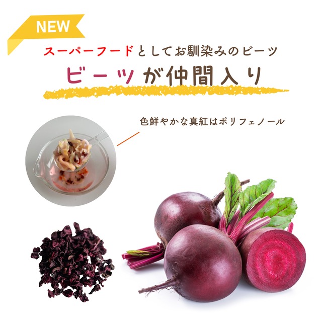 【70%OFF】在庫限りセール！