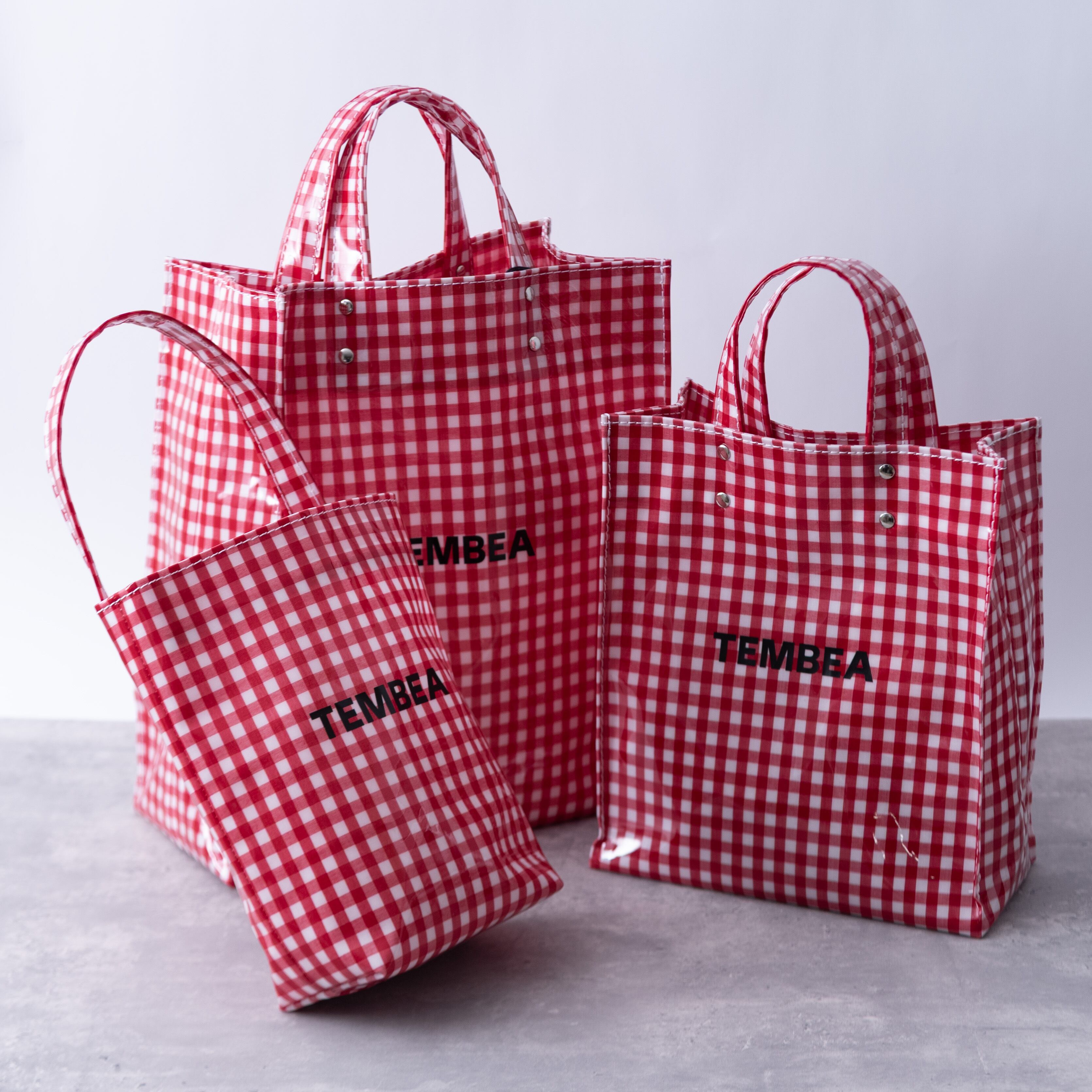 TEMBEA│PAPER TOTE MEDIUM GINGHAM｜テンベア｜ペーパートート