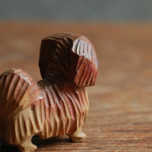 ペロッと下を出した、小さな犬