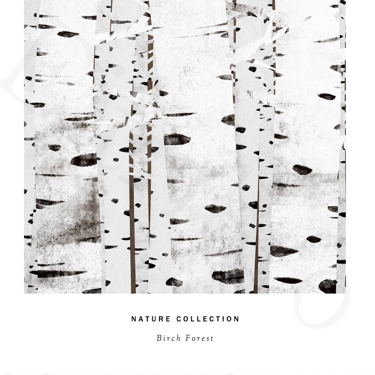 アートポスター / Birch forest No.4　eb216